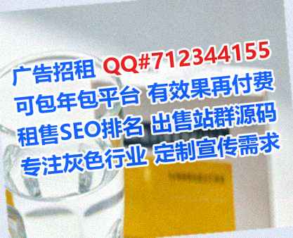 登封借腹生子系统集成工作室